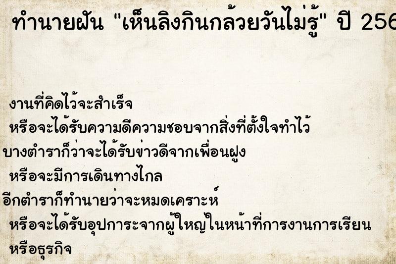 ทำนายฝันเห็นลิงกินกล้วยวันไม่รู้ ทำนายฝันทำนายฝันเห็นลิงกินกล้วยวันไม่รู้