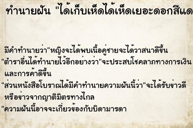 ทำนายฝัน ได้เก็บเห็ดได้เห็ดเยอะดอกสีแดง ทำนายฝัน ได้เก็บเห็ดได้เห็ดเยอะดอกสีแดง