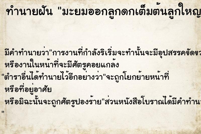ทำนายฝันทำนายฝันมะยมออกลูกดกเต็มต้นลูกใหญ