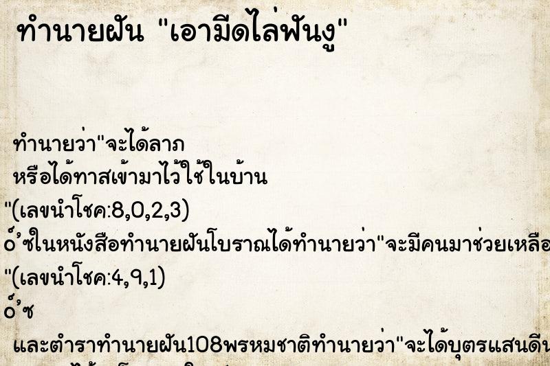 ทำนายฝัน เอามีดไล่ฟันงู ทำนายฝัน เอามีดไล่ฟันงู