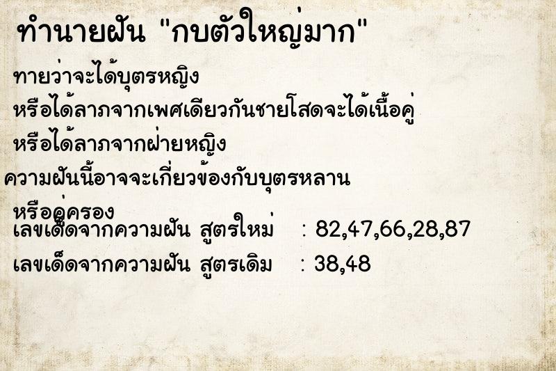 ทำนายฝัน กบตัวใหญ่มาก ทำนายฝัน กบตัวใหญ่มาก
