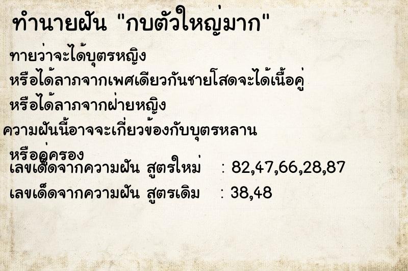 ทำนายฝัน กบตัวใหญ่มาก ตำราโบราณ แม่นที่สุดในโลก