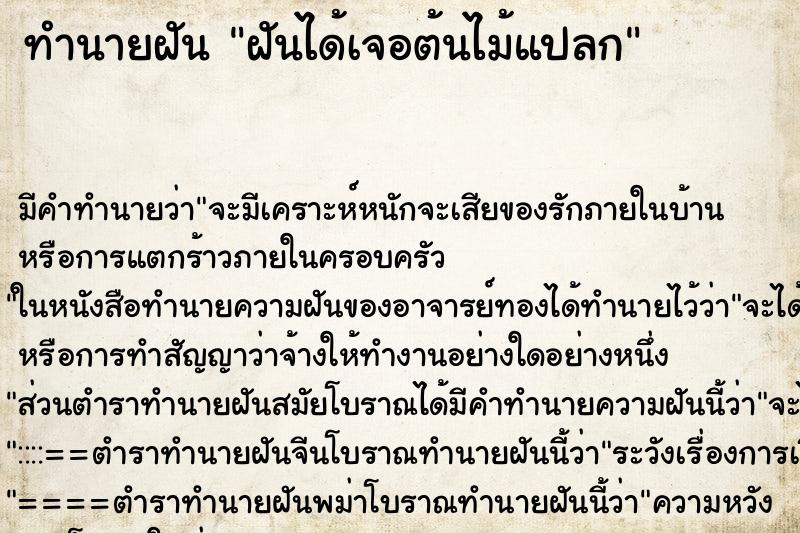 ทำนายฝันฝันได้เจอต้นไม้แปลก ทำนายฝันทำนายฝันฝันได้เจอต้นไม้แปลก