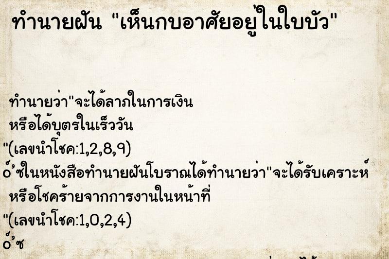 ทำนายฝันเห็นกบอาศัยอยู่ในใบบัว ทำนายฝันทำนายฝันเห็นกบอาศัยอยู่ในใบบัว