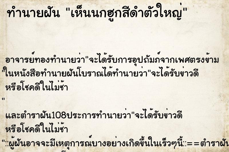 ทำนายฝัน เห็นนกฮูกสีดำตัวใหญ่