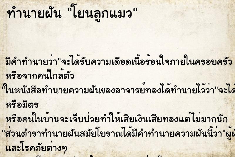 ทำนายฝันโยนลูกแมว ทำนายฝันทำนายฝันโยนลูกแมว