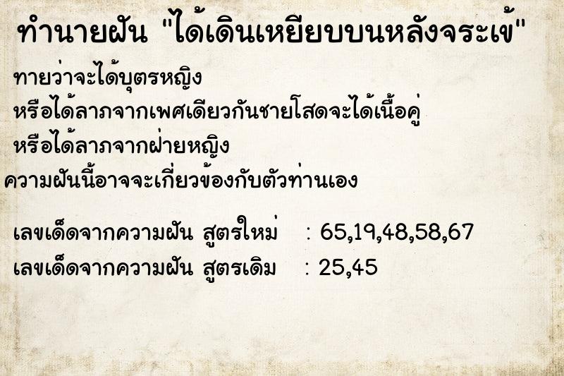 ทำนายฝันทำนายฝันได้เดินเหยียบบนหลังจระเข้