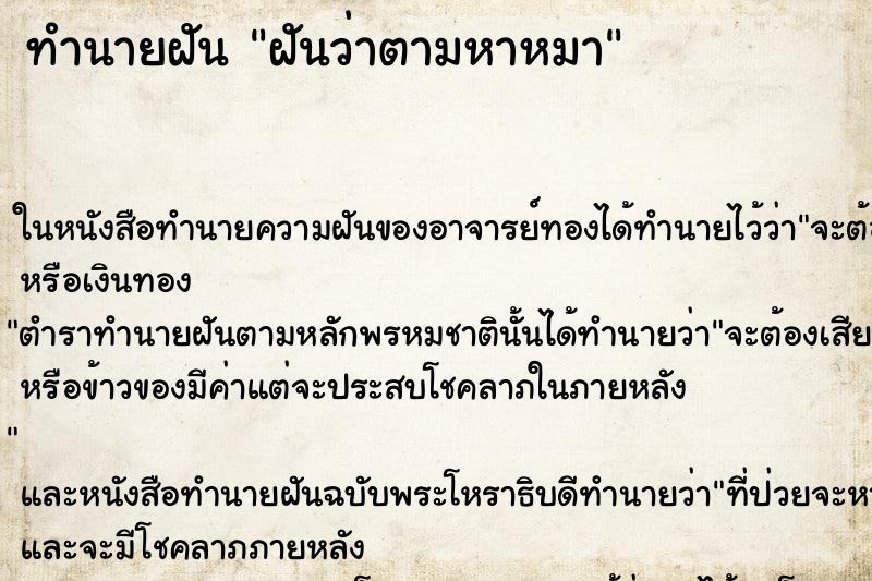 ทำนายฝันฝันว่าตามหาหมา ทำนายฝันทำนายฝันฝันว่าตามหาหมา