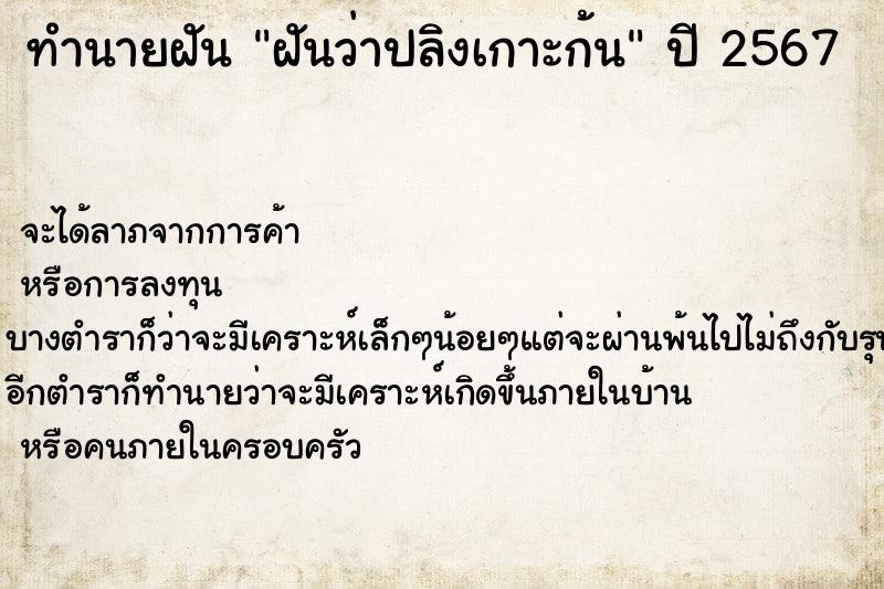 ทำนายฝันฝันว่าปลิงเกาะก้น ทำนายฝันทำนายฝันฝันว่าปลิงเกาะก้น