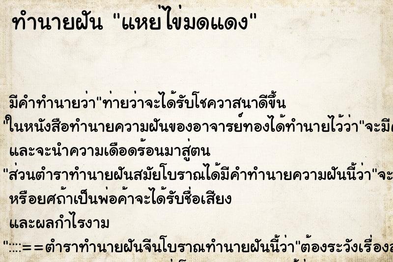 ทำนายฝันแหย่ไข่มดแดง ทำนายฝันทำนายฝันแหย่ไข่มดแดง