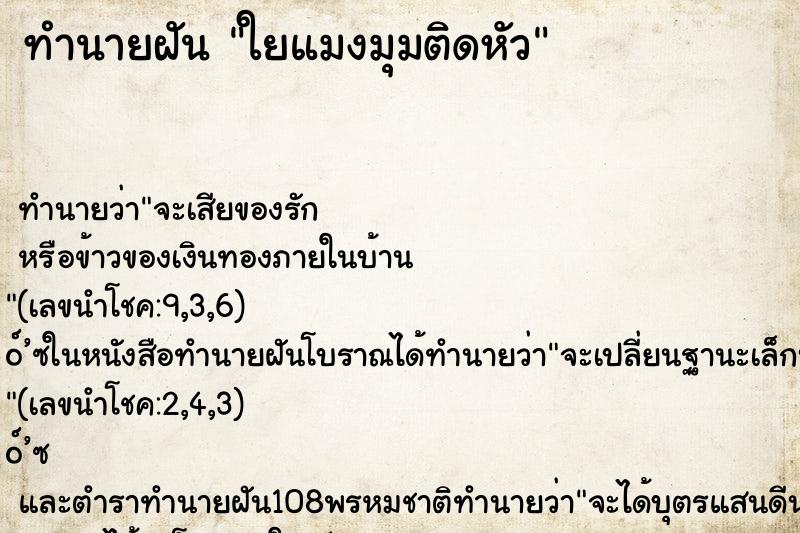 ทำนายฝันใยแมงมุมติดหัว ทำนายฝันทำนายฝันใยแมงมุมติดหัว