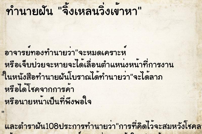 ทำนายฝัน จิ้งเหลนวิ่งเข้าหา