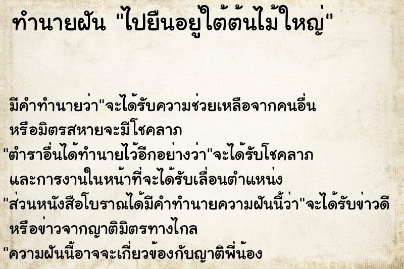 ทำนายฝัน ไปยืนอยู่ใต้ต้นไม้ใหญ่ ทำนายฝัน ไปยืนอยู่ใต้ต้นไม้ใหญ่