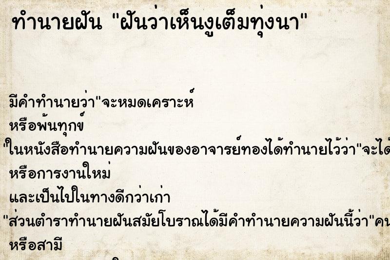 ทำนายฝัน ฝันว่าเห็นงูเต็มทุ่งนา ทำนายฝัน ฝันว่าเห็นงูเต็มทุ่งนา