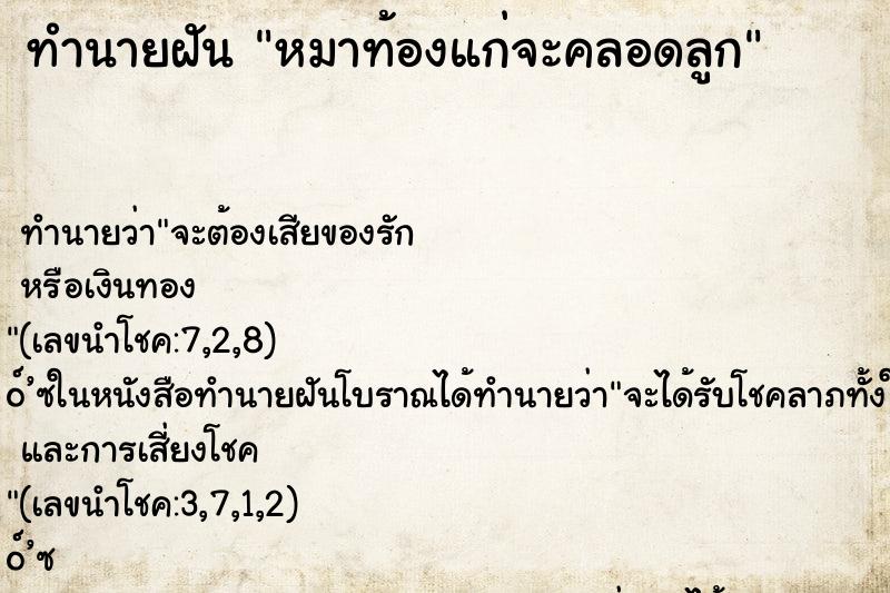 ทำนายฝัน หมาท้องแก่จะคลอดลูก