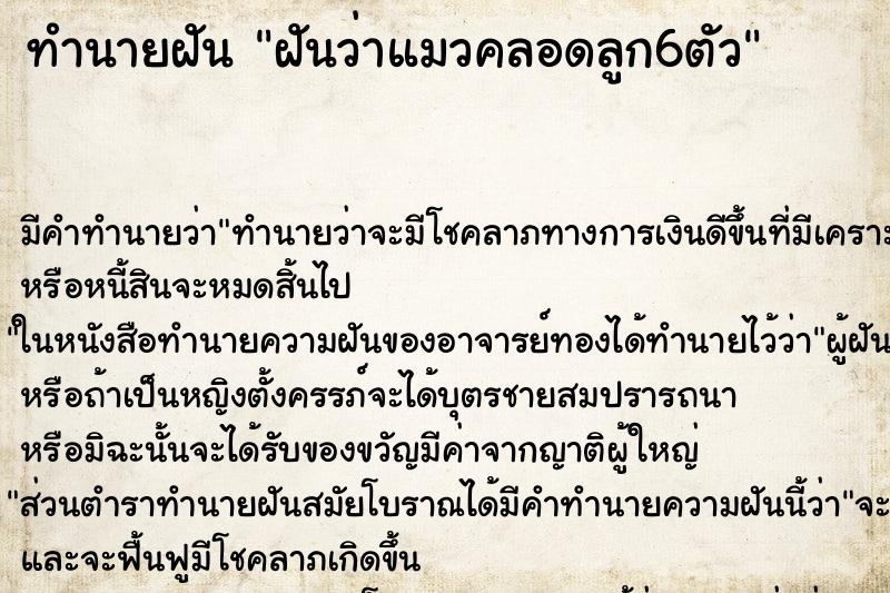 ทำนายฝัน ฝันว่าแมวคลอดลูก6ตัว ทำนายฝัน ฝันว่าแมวคลอดลูก6ตัว