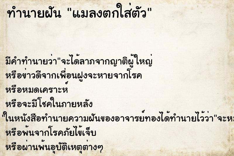 ทำนายฝัน แมลงตกใส่ตัว ตำราโบราณ แม่นที่สุดในโลก