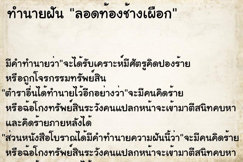 ทำนายฝัน ลอดท้องช้างเผือก ตำราโบราณ แม่นที่สุดในโลก