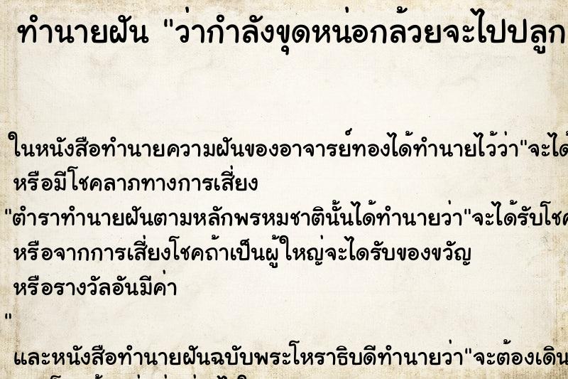 ทำนายฝันทำนายฝันว่ากำลังขุดหน่อกล้วยจะไปปลูก