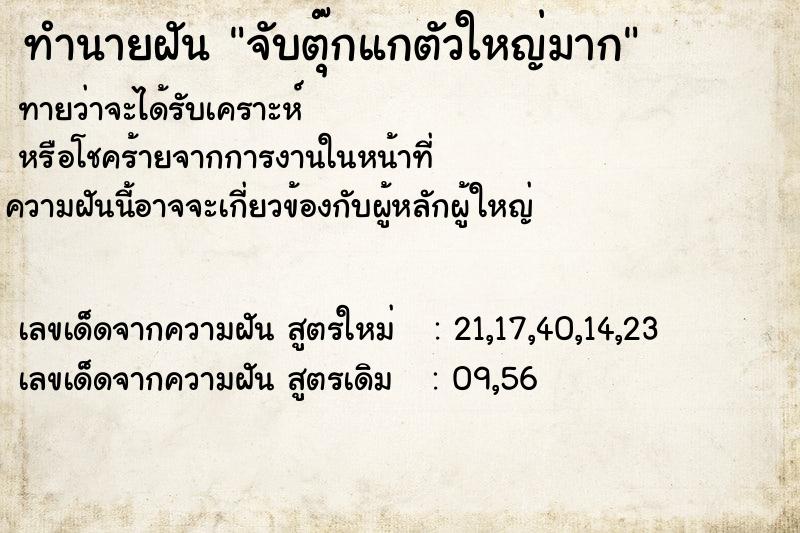 ทำนายฝันจับตุ๊กแกตัวใหญ่มาก ทำนายฝันทำนายฝันจับตุ๊กแกตัวใหญ่มาก