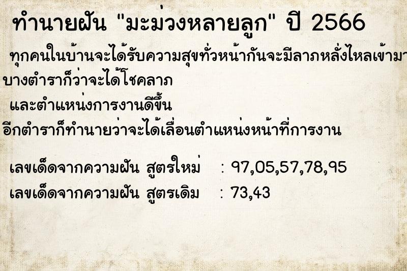 ทำนายฝัน มะม่วงหลายลูก ทำนายฝัน มะม่วงหลายลูก