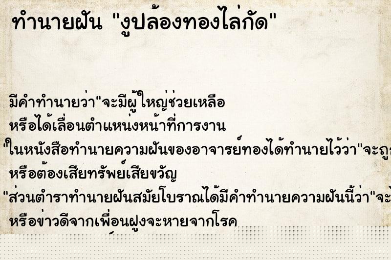 ทำนายฝัน งูปล้องทองไล่กัด ทำนายฝัน งูปล้องทองไล่กัด