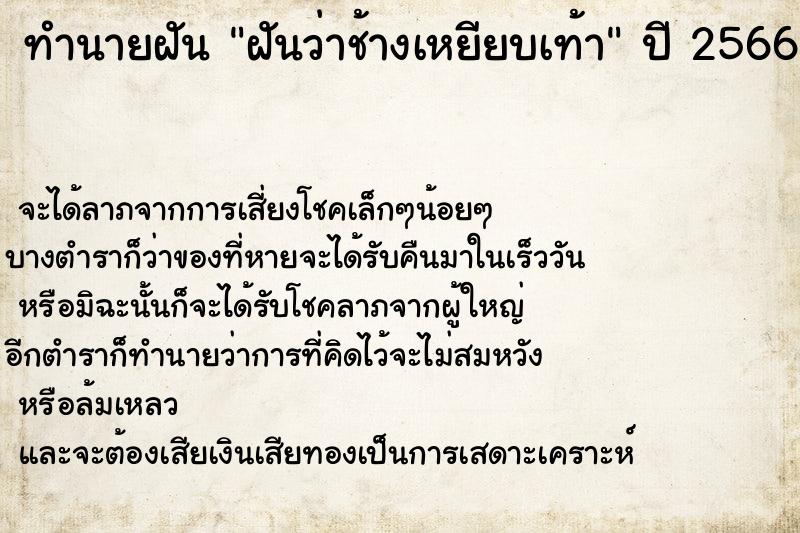ทำนายฝันฝันว่าช้างเหยียบเท้า ทำนายฝันทำนายฝันฝันว่าช้างเหยียบเท้า