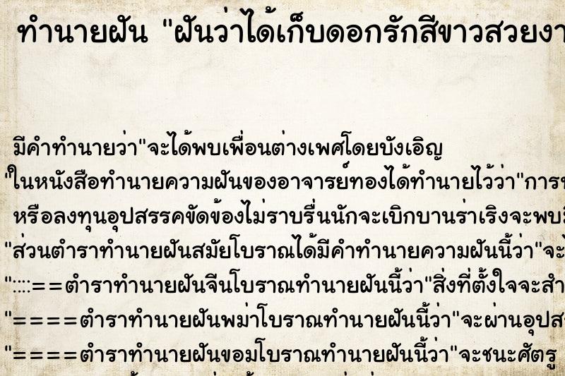 ทำนายฝัน ฝันว่าได้เก็บดอกรักสีขาวสวยงาม ทำนายฝัน ฝันว่าได้เก็บดอกรักสีขาวสวยงาม