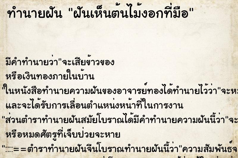 ทำนายฝัน ฝันเห็นต้นไม้งอกที่มือ ทำนายฝัน ฝันเห็นต้นไม้งอกที่มือ
