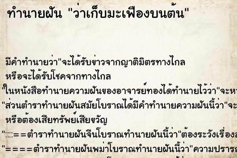 ทำนายฝันทำนายฝันว่าเก็บมะเฟืองบนต้น