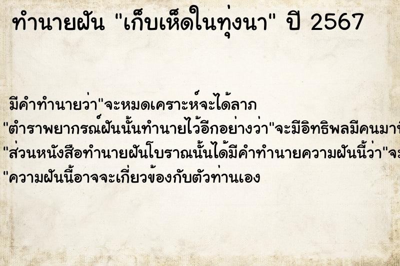 ทำนายฝันเก็บเห็ดในทุ่งนา ทำนายฝันทำนายฝันเก็บเห็ดในทุ่งนา
