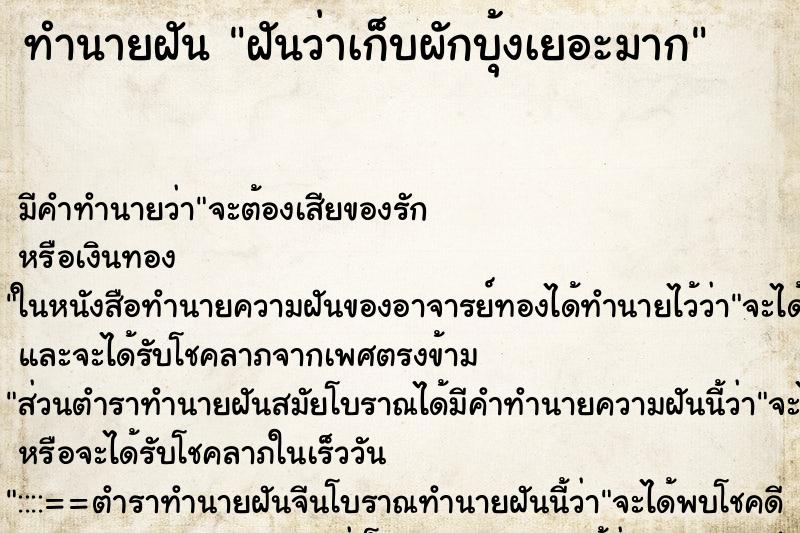 ทำนายฝัน ฝันว่าเก็บผักบุ้งเยอะมาก ทำนายฝัน ฝันว่าเก็บผักบุ้งเยอะมาก