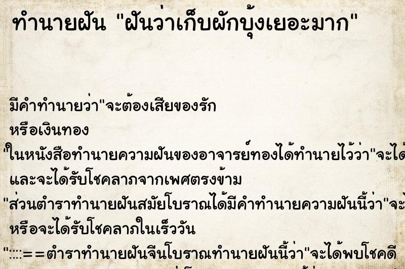 ทำนายฝัน ฝันว่าเก็บผักบุ้งเยอะมาก ตำราโบราณ แม่นที่สุดในโลก