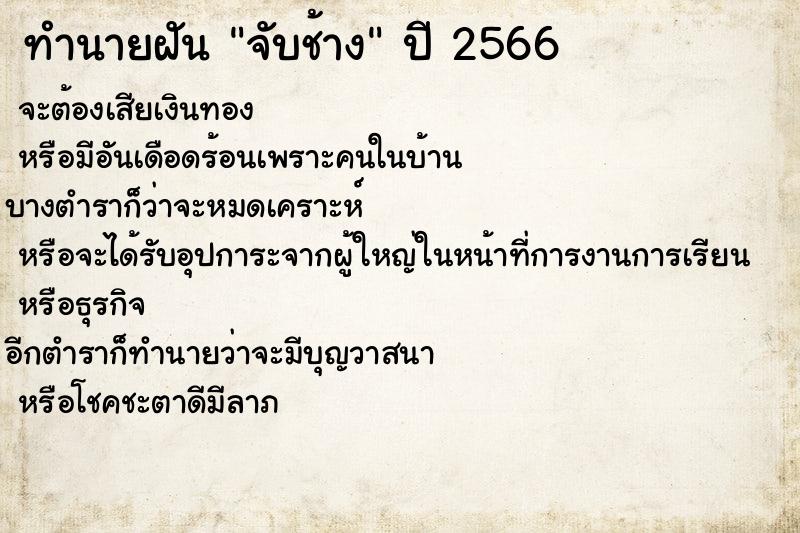ทำนายฝันจับช้าง ทำนายฝันทำนายฝันจับช้าง