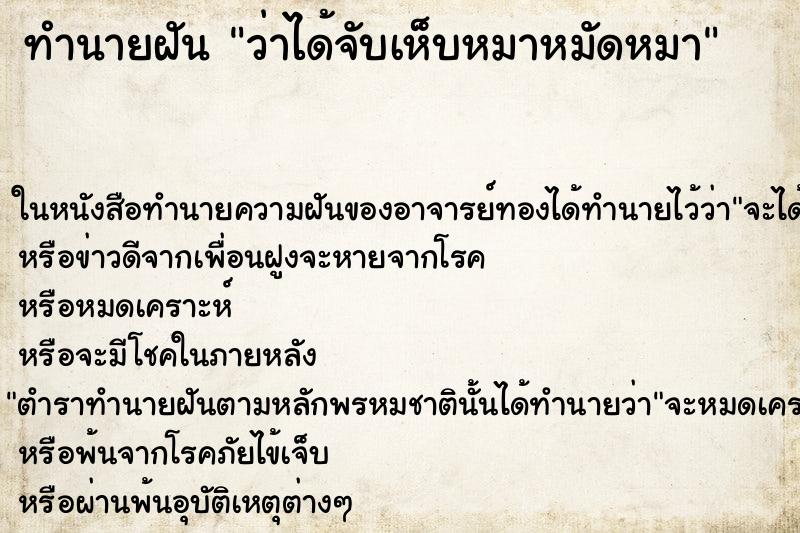 ทำนายฝัน ว่าได้จับเห็บหมาหมัดหมา ทำนายฝัน ว่าได้จับเห็บหมาหมัดหมา