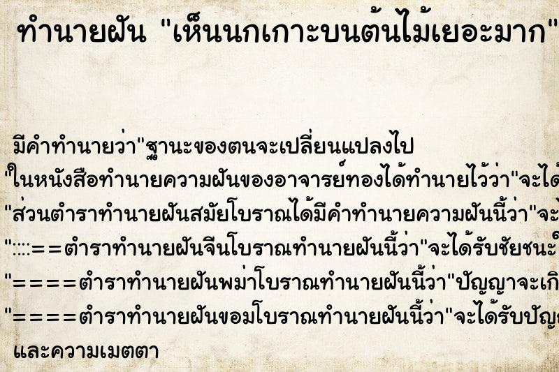 ทำนายฝัน เห็นนกเกาะบนต้นไม้เยอะมาก ทำนายฝัน เห็นนกเกาะบนต้นไม้เยอะมาก