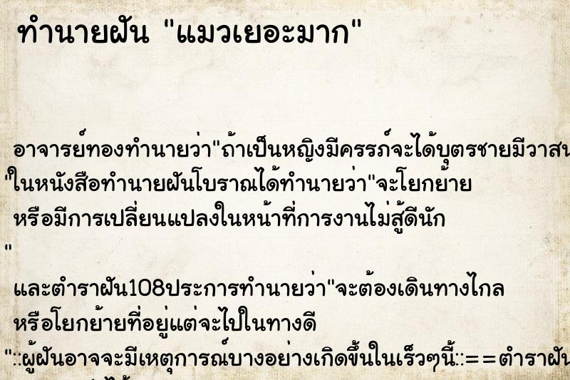 ทำนายฝัน แมวเยอะมาก