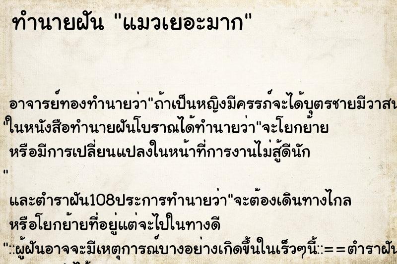 ทำนายฝัน แมวเยอะมาก ตำราโบราณ แม่นที่สุดในโลก