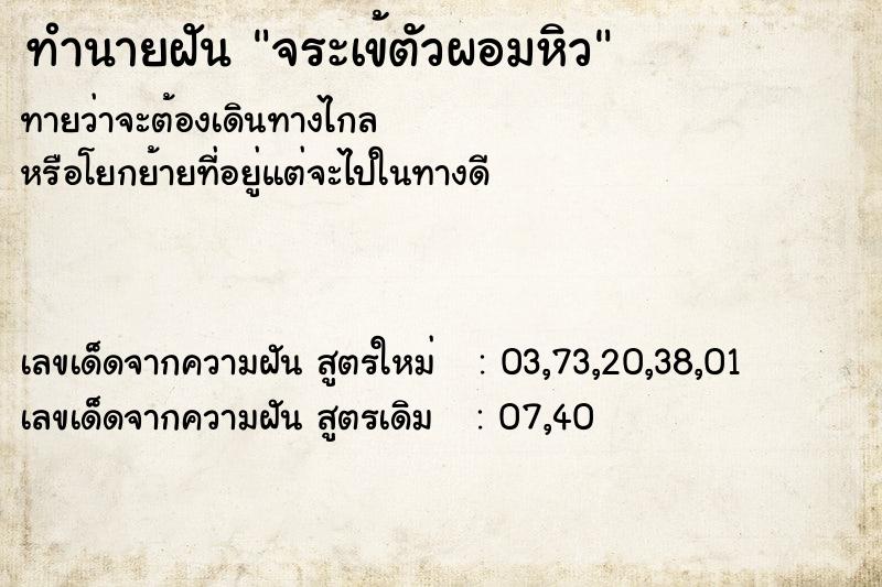 ทำนายฝัน จระเข้ตัวผอมหิว ทำนายฝัน จระเข้ตัวผอมหิว