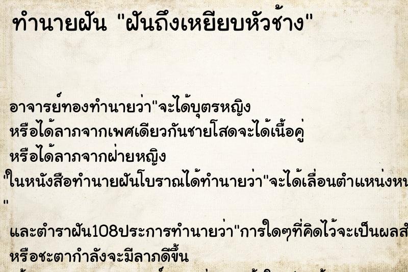 ทำนายฝันทำนายฝันฝันถึงเหยียบหัวช้าง