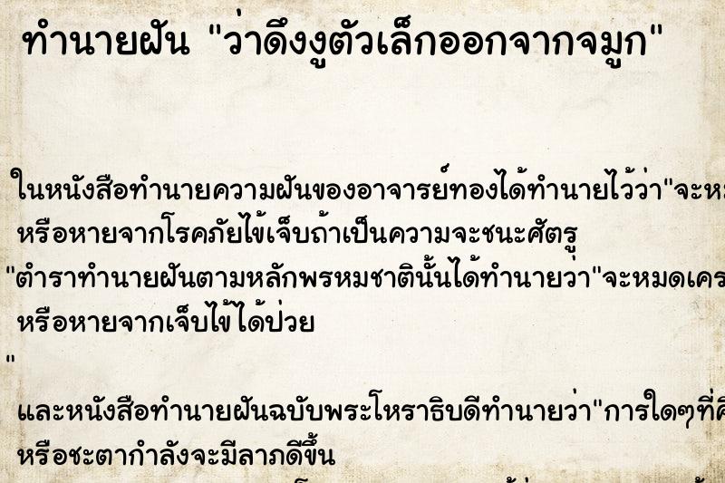 ทำนายฝัน ว่าดึงงูตัวเล็กออกจากจมูก ทำนายฝัน ว่าดึงงูตัวเล็กออกจากจมูก