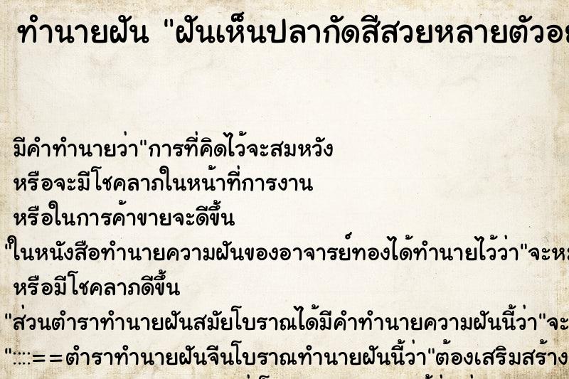 ทำนายฝัน ฝันเห็นปลากัดสีสวยหลายตัวอยู่ในบ่อ ทำนายฝัน ฝันเห็นปลากัดสีสวยหลายตัวอยู่ในบ่อ