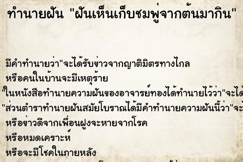 ทำนายฝันทำนายฝันฝันเห็นเก็บชมพู่จากต้นมากิน