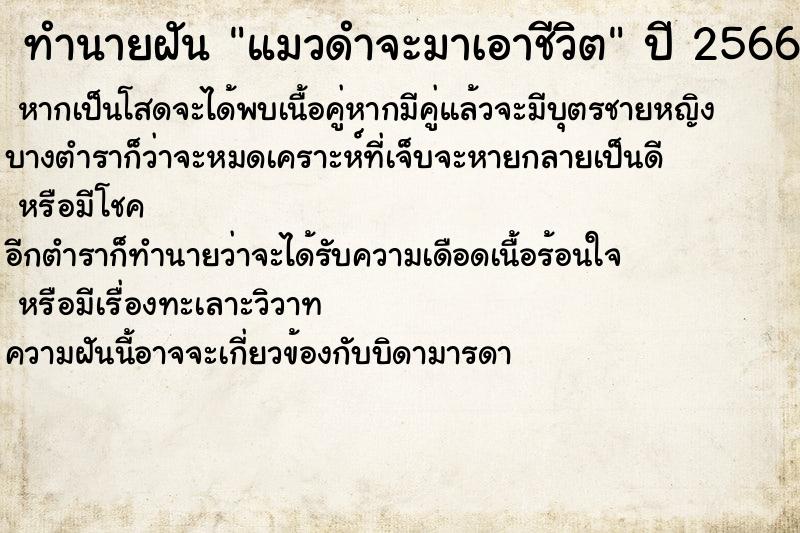 ทำนายฝัน แมวดำจะมาเอาชีวิต ทำนายฝัน แมวดำจะมาเอาชีวิต