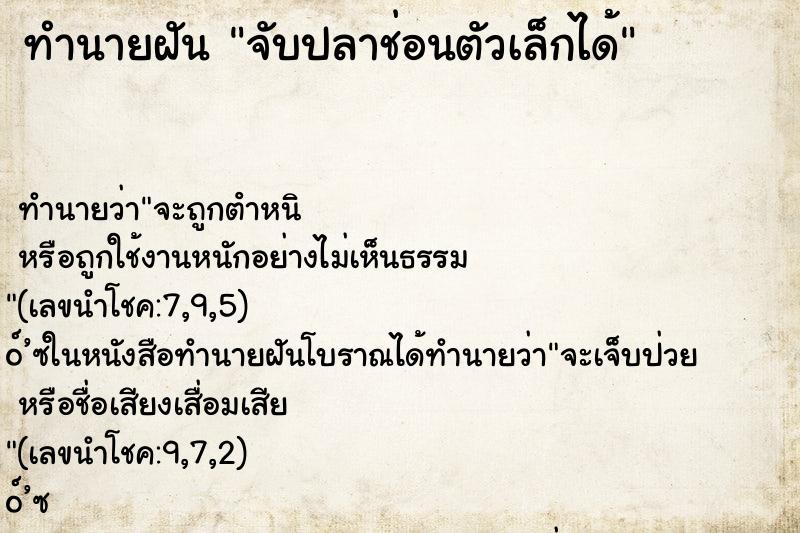 ทำนายฝัน จับปลาช่อนตัวเล็กได้ ตำราโบราณ แม่นที่สุดในโลก