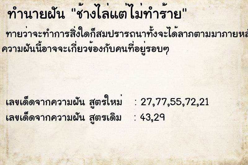 ทำนายฝันช้างไล่แต่ไม่ทำร้าย ทำนายฝันทำนายฝันช้างไล่แต่ไม่ทำร้าย