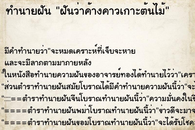 ทำนายฝัน ฝันว่าค้างคาวเกาะต้นไม้ ทำนายฝัน ฝันว่าค้างคาวเกาะต้นไม้
