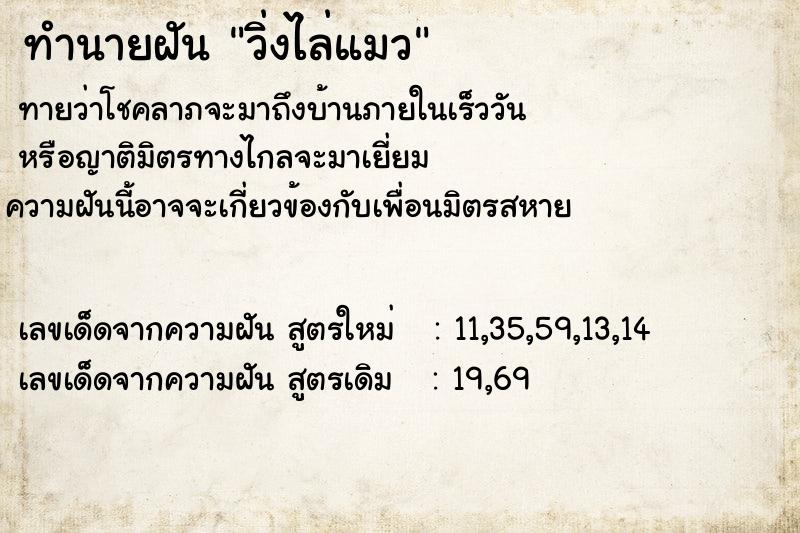 ทำนายฝันทำนายฝันวิ่งไล่แมว