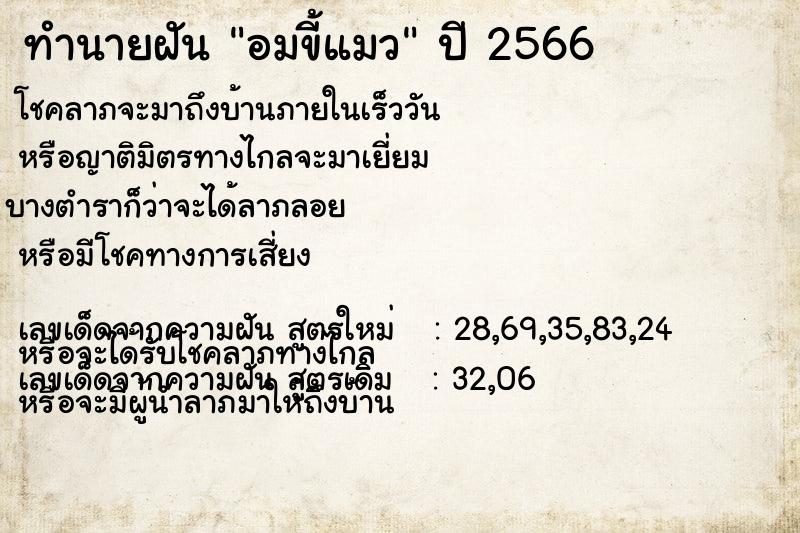 ทำนายฝันอมขี้แมว ทำนายฝันทำนายฝันอมขี้แมว