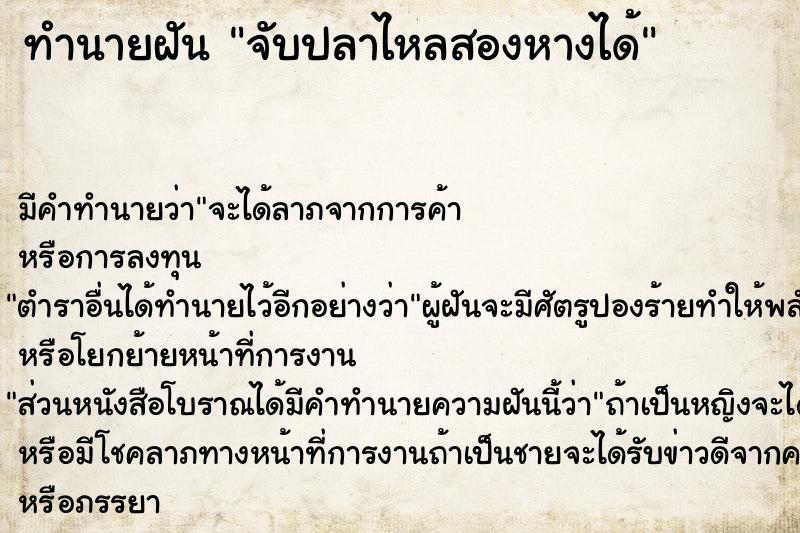 ทำนายฝัน จับปลาไหลสองหางได้